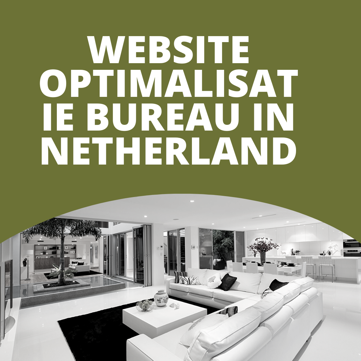 Website optimalisatie bureau in Netherland