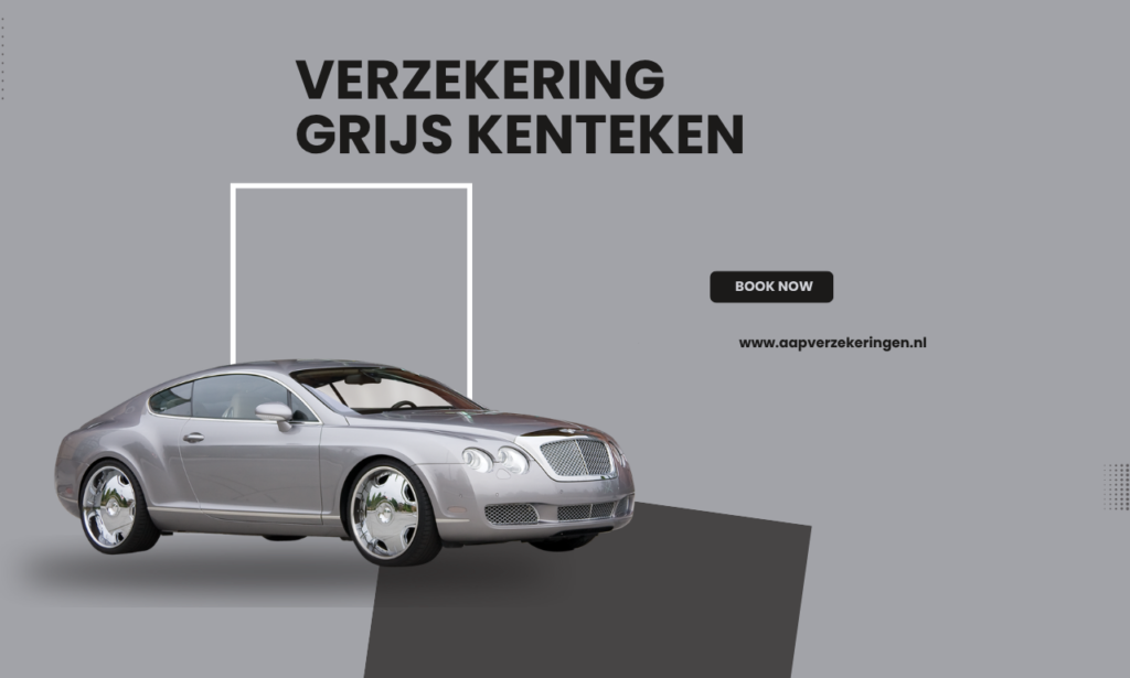 Verzekering grijs kenteken