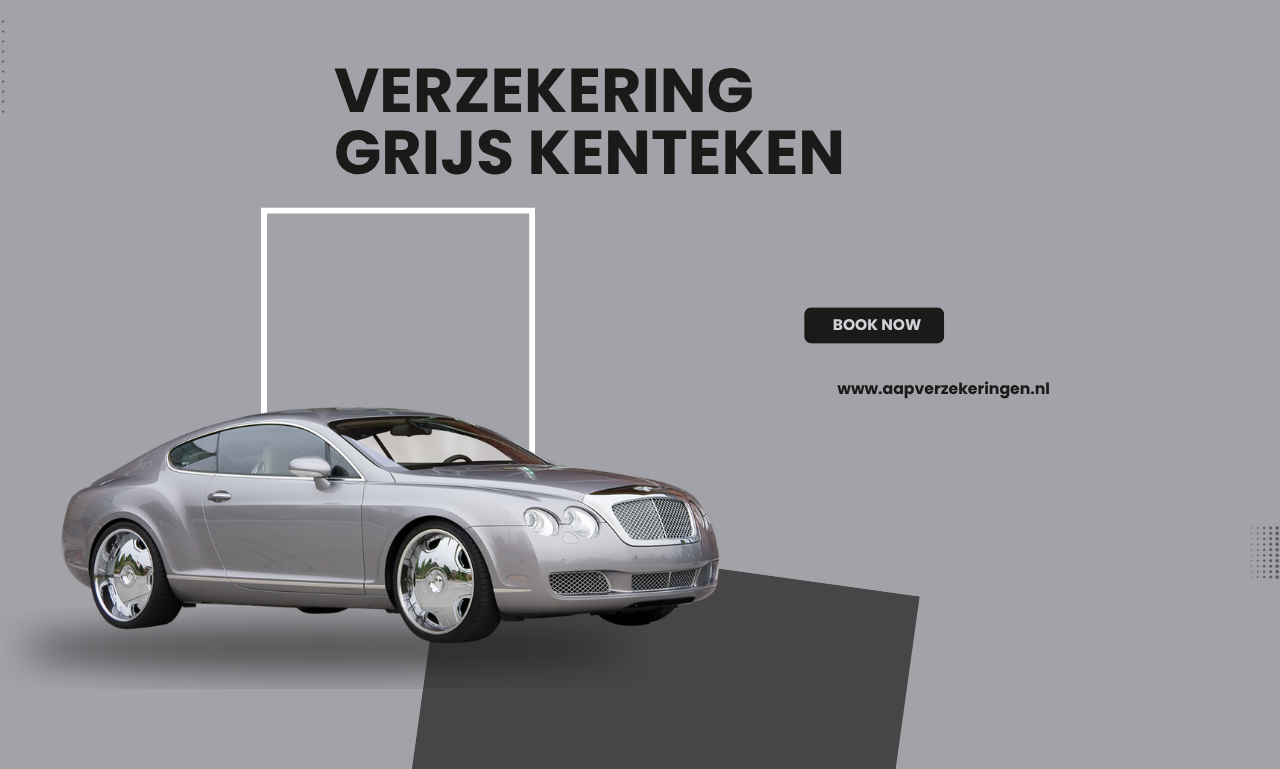 Verzekering grijs kenteken